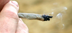 People can smoke marijuana traditionally, as with this cigarette, or use it in tea or food as an answer to medical ailments.