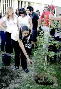 Former BC student Vickey Tapia, 27, places a handful of dirt on a sequoia tree being planted in memory of Cesar Chavez.