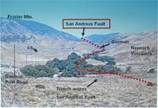The red dotted line shows the San Andreas Fault at the Buena Vista Museum of Natural History.