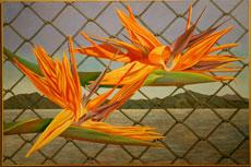 The Bakersfield Museum of art features Dorothy Churchill-Johnsons collection called Surreal Realism which is on display from Sept.11- Nov.30. This oil on canvas painting is called Aviary and is valued at $10,000.