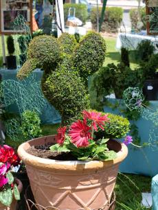 This grass sculpture of a hummingbird shows how artistic gardeners can get, April 9.