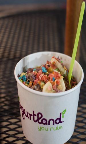 Frozen yogurt trend excites Bakersfield residents