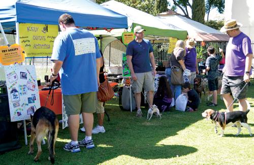 Dog day afternoon: pups, owners gather for events