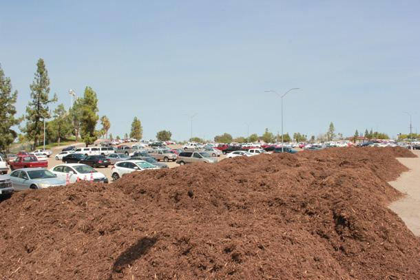 Parking Lot Mulch 1 JET