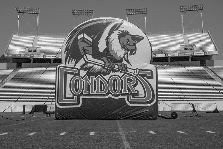 Condors freezing over stadium