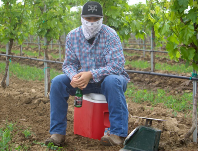 Juan sits on a cooler and poses for a picture during his break at the vineyard where he works.
