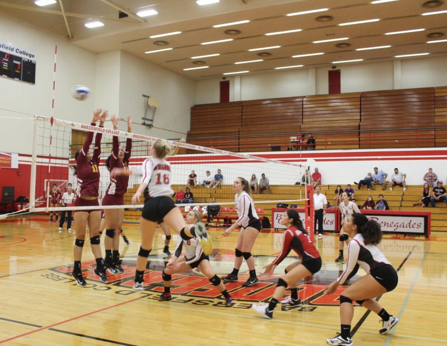 The Renegade volleyball team looks on as Jourdon Muro hits the ball over the net.