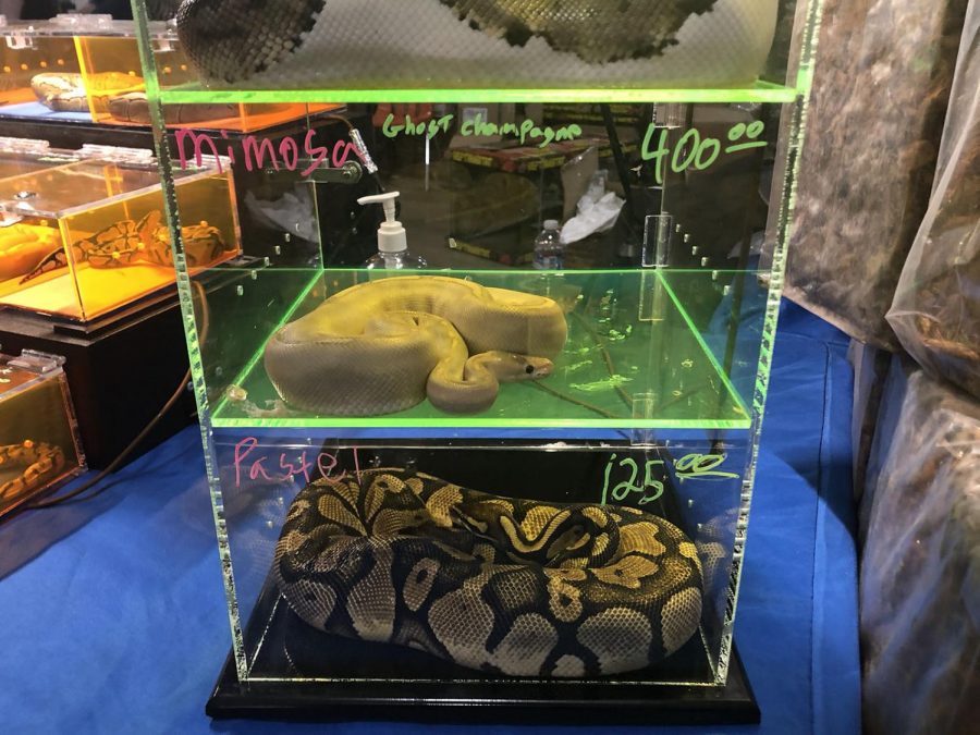 1.	Many rare and unique breeds of different species were available for sale and ranged in price.