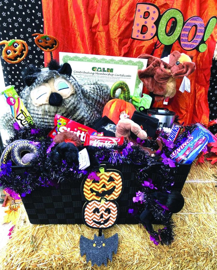 The 2021 Boo at the Zoo raffle basket valued at $200.